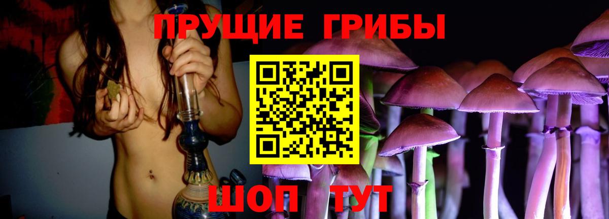 Алейск  Псилоцибиновые грибы мицелий  Галлюциногенные грибы мицелий  Вход с VPN 